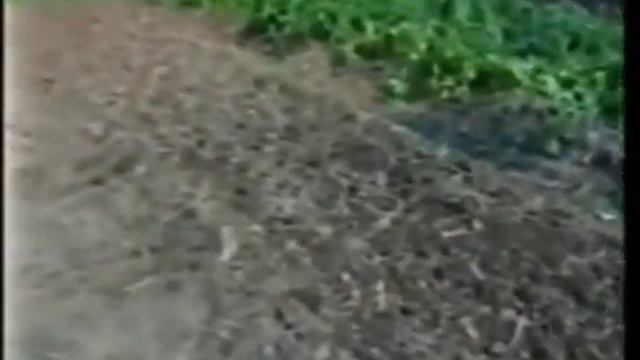 ЭТОТ ИНСТРУМЕНТ ДОЛЖЕН ИМЕТЬ КАЖДЫЙ ДАЧНИК! смотреть онлайн