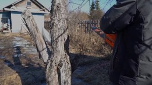 Бензопила Carver promo 52/18 на даче