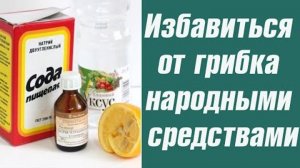 Исцеляющая природа! Уникальные продукты для устранения грибковых заболеваний!