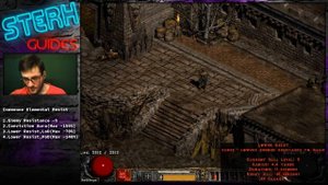 ТЫ НИКОГДА ЕГО НЕ ПРОБЬЁШЬ! Иммунитеты в Diablo 2
