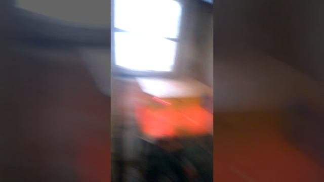 НОВЫЙ ВИД ПОРОДЫ ПЕРЕПЕЛОВ