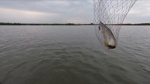 Щука на блесну.