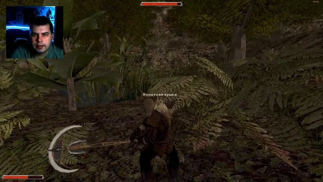 Gothic II Gold Classic - Прохождение - Часть 14: В которой я изучил язык зодчих смотреть онлайн