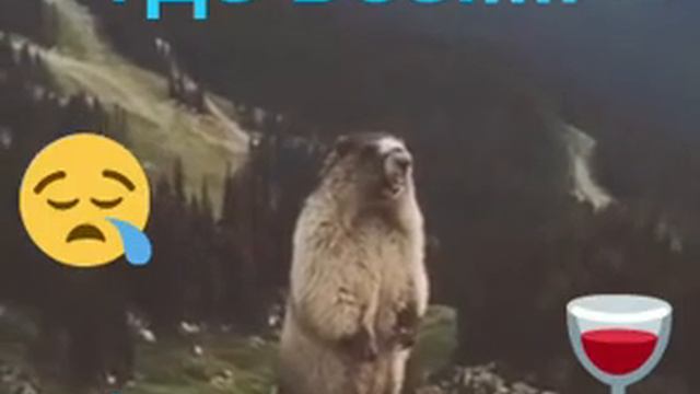 Набор в племя «Племя бесконечной жизни» смотреть онлайн