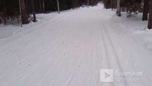 Лыжи Фишер Австрийские,Обзор