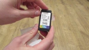 Canon MG2550 S Change Ink Cartridge