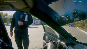 Штраф за тонировку на стопах. корона жмет полицейскому