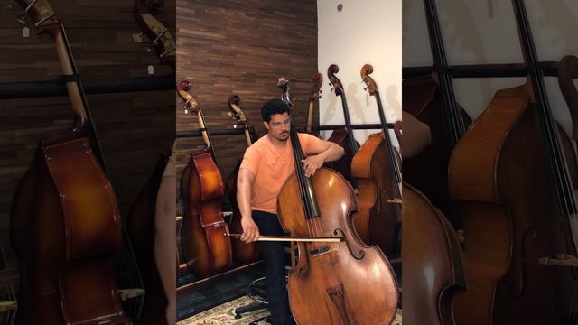 Marlon Martinez - NinoMute on Juzek Bass