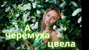 А черемуха цвела.