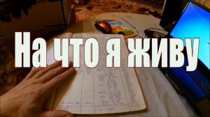 Жить в деревне на свои   // YouTube и ЛПХ