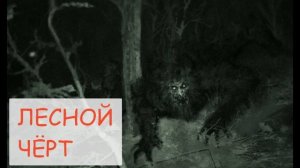 Лесной чёрт (Задокументировано №11) - Мистическая история