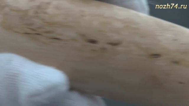 Нож Следопыт (Карельская береза, 100Х13М) - nozh74.ru смотреть онлайн