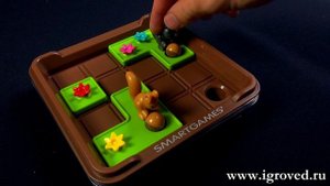 Запасливые белки. Обзор настольной игры-головоломки от Игроведа