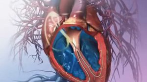 Автоматизм сердца