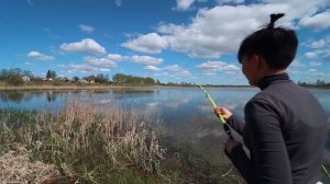 КАРПы на ДОНКИ Крокодил! РЫБАЛКА на ПЛАТНИКЕ 2020! #170