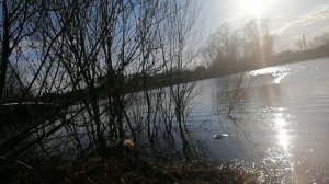 Речка Веряжка, Весна ! ?