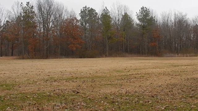 A Reading: Sonnet 73 смотреть онлайн