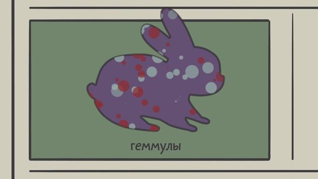 4.1 История генетики после Менделя. Естествознание - 10 - 11 класс смотреть онлайн