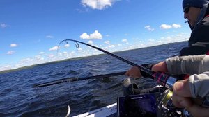 Ловля Сига. Пя Озеро. Карелия 2020 год.