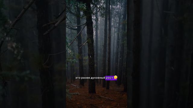 Что значит расти духовно? В чем заключается духовность? Внутренний мир, душа, сознание, доброта