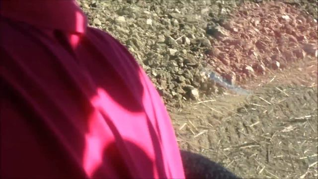 LEMNKEN DIAMANT GRIGI societa agricola смотреть онлайн