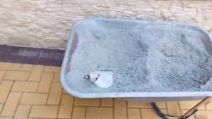 Перекладка плитки 1