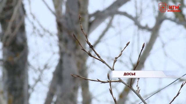 К одному из домов в Ардатове подкинули новорождённую малышку смотреть онлайн