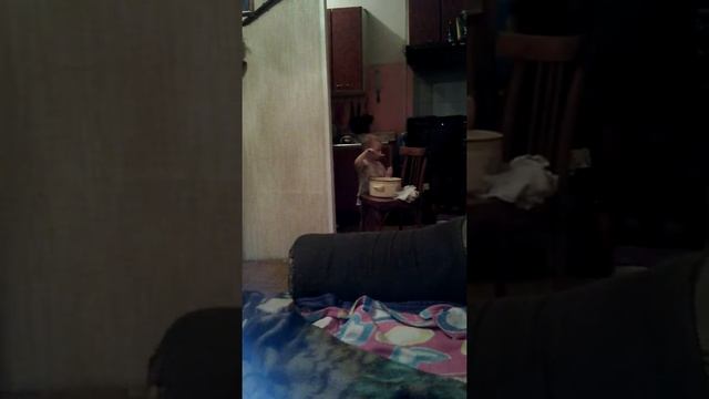 Мальчик кушает картошку прикол :D смотреть онлайн