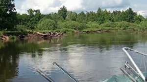 Река Случь.Вильча.