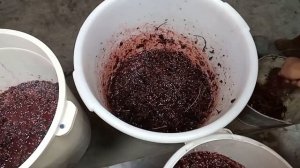 Дробилка для винограда .Лайфхак.