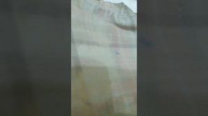 Выведение пятен с одежды