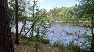 Пименов пруд, окрестности Каслей