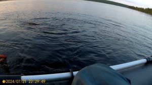 Эпизод 1. Борьба с сильной  щукой. Кто же победит? Рыбалка  в Мурманской области.
