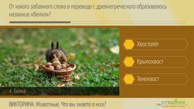 Викторина о животных: Тест с вопросами и ответами про животных