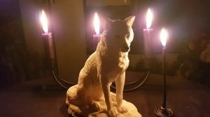 ВЫЖИТЬ ЛЮБОЙ ЦЕНОЙ. ВНУТРЕННИЙ ЗВЕРЬ.  ДЛЯ СМЕЛЫХ. ВЕДЬМИНА ИЗБА. ИНГА ХОСРОЕВА.