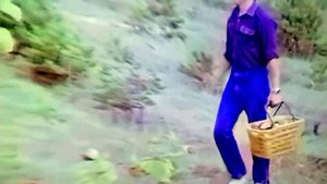 1987 год. Тюменский район. Сентябрь. Грибники