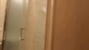 Ремонт квартиры от компании Петрович Дома