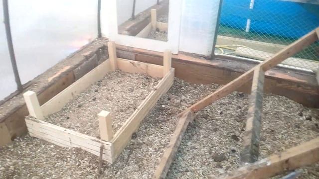 Курятник в теплице из поликарбоната летом.