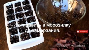 Как правильно заморозить базилик на зиму / how to freeze Basil