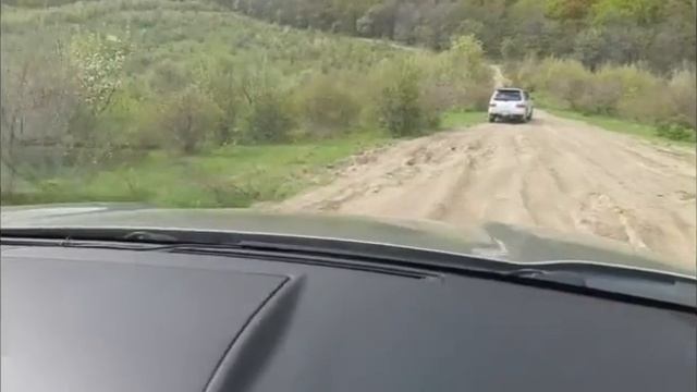 Роща секвой в Крыму. Добраться на своем авто. Нереальные впечатления! Очаровательные виды!