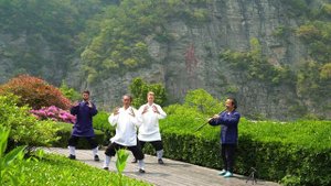 1 hour Tai Chi music with Master Gu (Chinese Qi Gong meditation music)