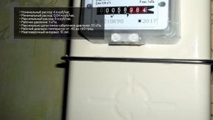 Счетчик газа Газдевайс NPM G4