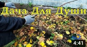Как обновить запущенный ВИНОГРАД????