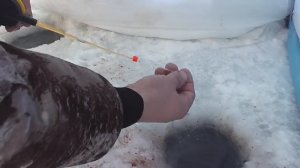 Классная рыбалка оз. Эскалбы