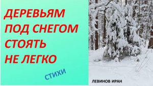 Деревьям под снегом стоять не легко. Стихи. Левинов Иран.