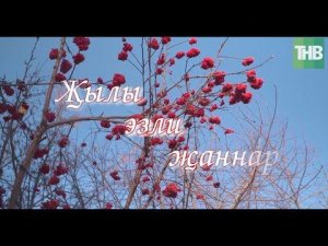 Җылы эзли җаннар - 2 серия