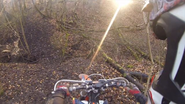 Образцово овраг. 09.11.2020