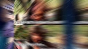 И пусть уже других кумиров любит молодёжь... /феля?