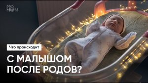 Что происходит после родов? Золотой час, импринтинг. Что видит и чувствует малыш после родов?