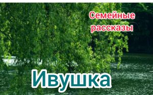 Ивушка.